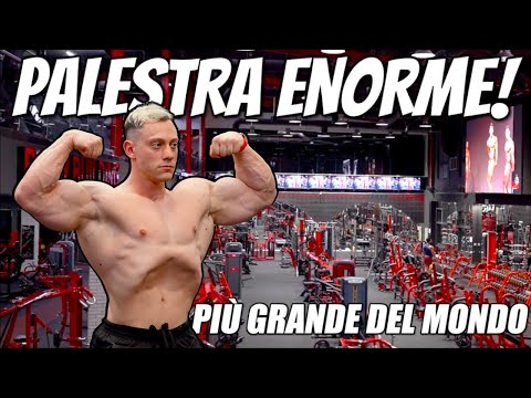 VI MOSTRO LA