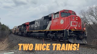 (CN 8301 Leading) CN M314 And A Late Q107 At McCowan Road Near Pine Orchard 