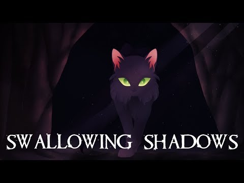 Swallowing Shadows Cover