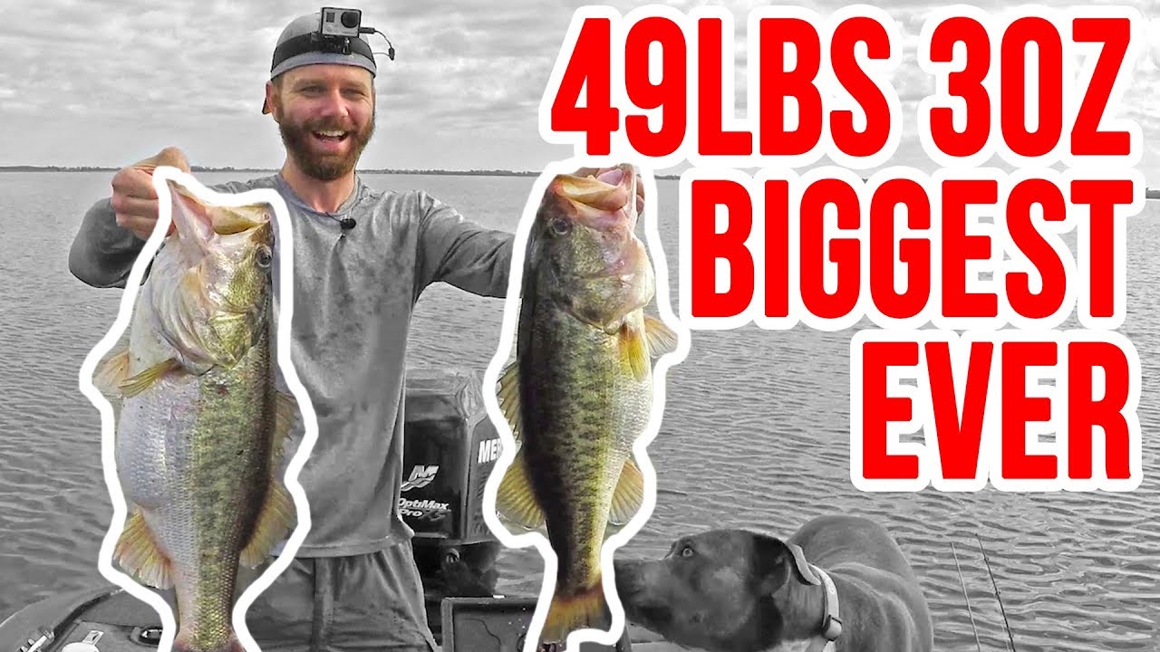 INSANE 49lbs 3oz Fishing for Bass ~ Biggest Bag Ever on