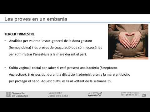 Vídeo: 40 Setmanes D'embaràs: Sensacions, Desenvolupament Fetal