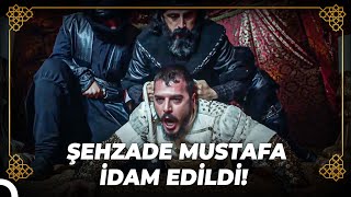 Sultan Süleyman, Mustafa'ya Acımadı! | Osmanlı Tarihi