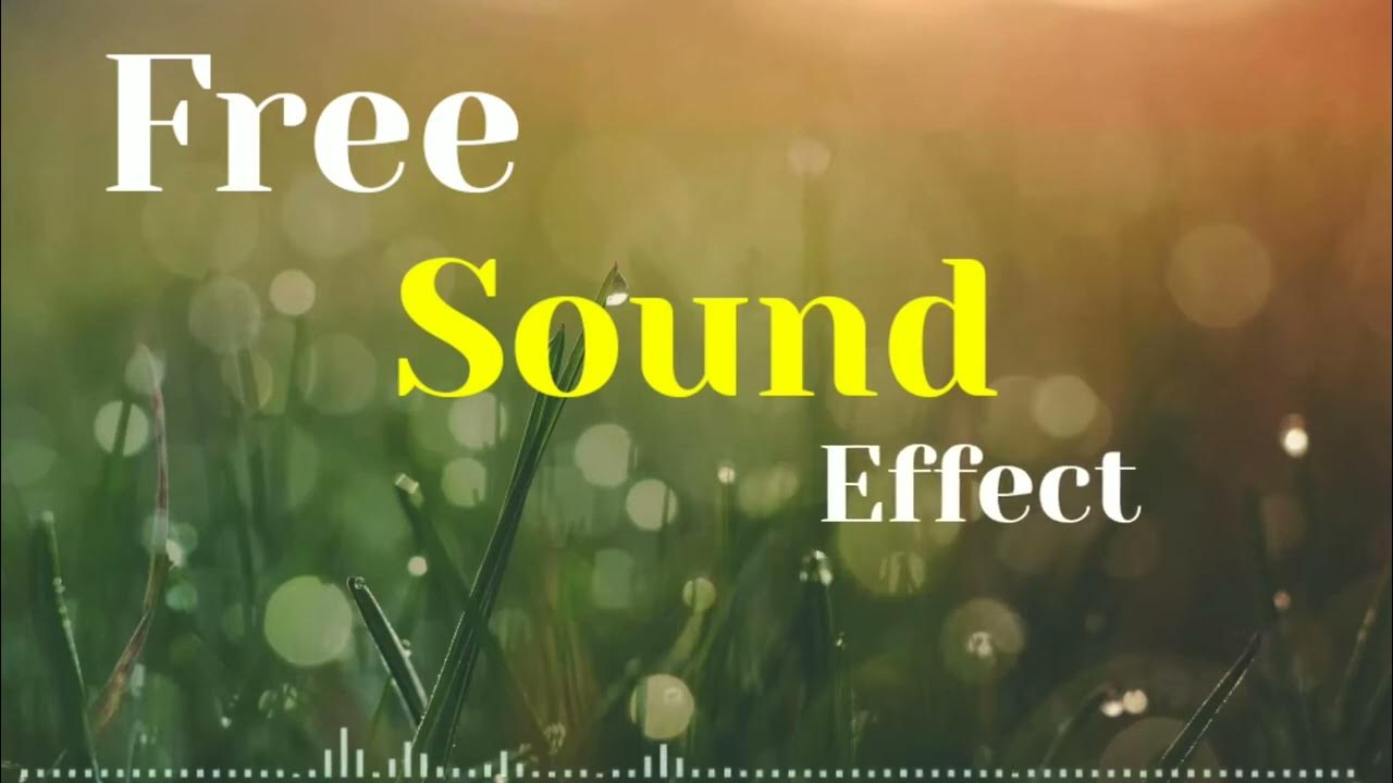birds chirping sound effect loud copyright free sound effects No