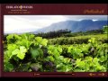 Discover south african wines  wines education