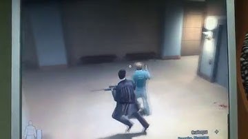 Max Payne 2 Funny Bug