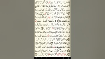 صفحة 24 من القرآن الكريم للقارئ الشيخ ماهر المعيقلي