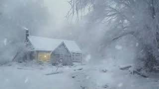 Intense Blizzard strikes a Lonely Log Cabin┇Frosty Wind Sound for Sleeping & Heavy Howling Wind by Rose Wind 10,384 views 3 months ago 24 hours