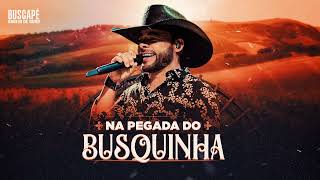 Estrela da manhâ  - CD NA PEGADA DO BUSQUINHA