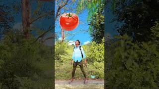 Lollipop, Burger, Chili shikhar fruits vs insects eating for two brothers vfx viralvideo