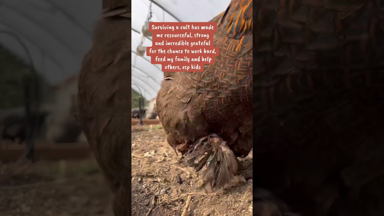 Messy in the best way