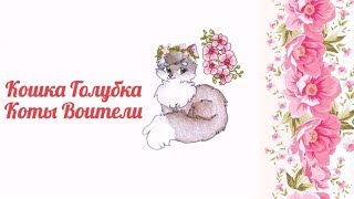 Кошка Голубка Коты Воители Кошка Голубка Коты Воители