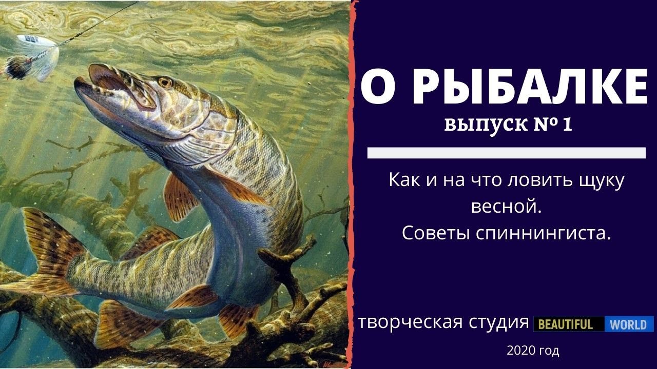 Щука в мутной воде. На что ловить щуку в мутной воде. Ловить рыбу в мутной воде. Ловля рыбы в мутной воде плакат. Щука 2020.