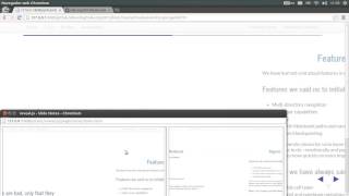 IPython Slide Viewer Net Worth