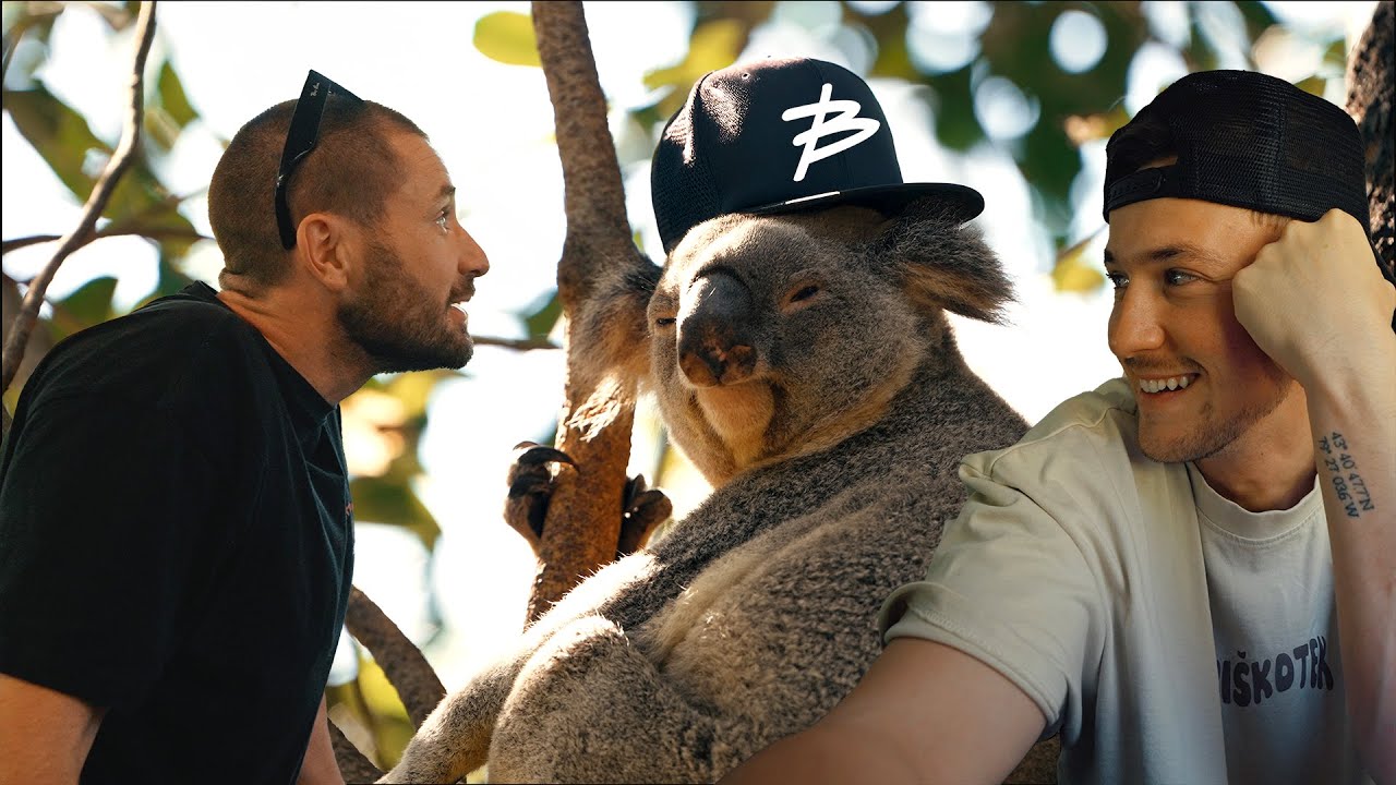 KOALA + KAPA = ✓ ? | BitVlog #121