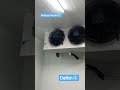 Freezer Room Daikin Machines coldroom Storage frozen peas 🫛 #peas #vegetables #fruitstorage #viral