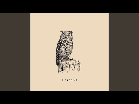 Disappear Disappear