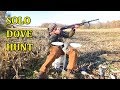Solo Dove Hunting