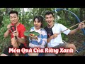 Món Quà Của Rừng Xanh - Có Quá Nhiều Điều Thú Vị