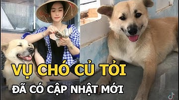 Vụ Củ Tỏi - chú chó nổi tiếng Tiktok bị mất tích: Đã có cập nhật mới