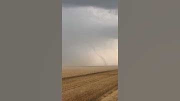 Farmers Don