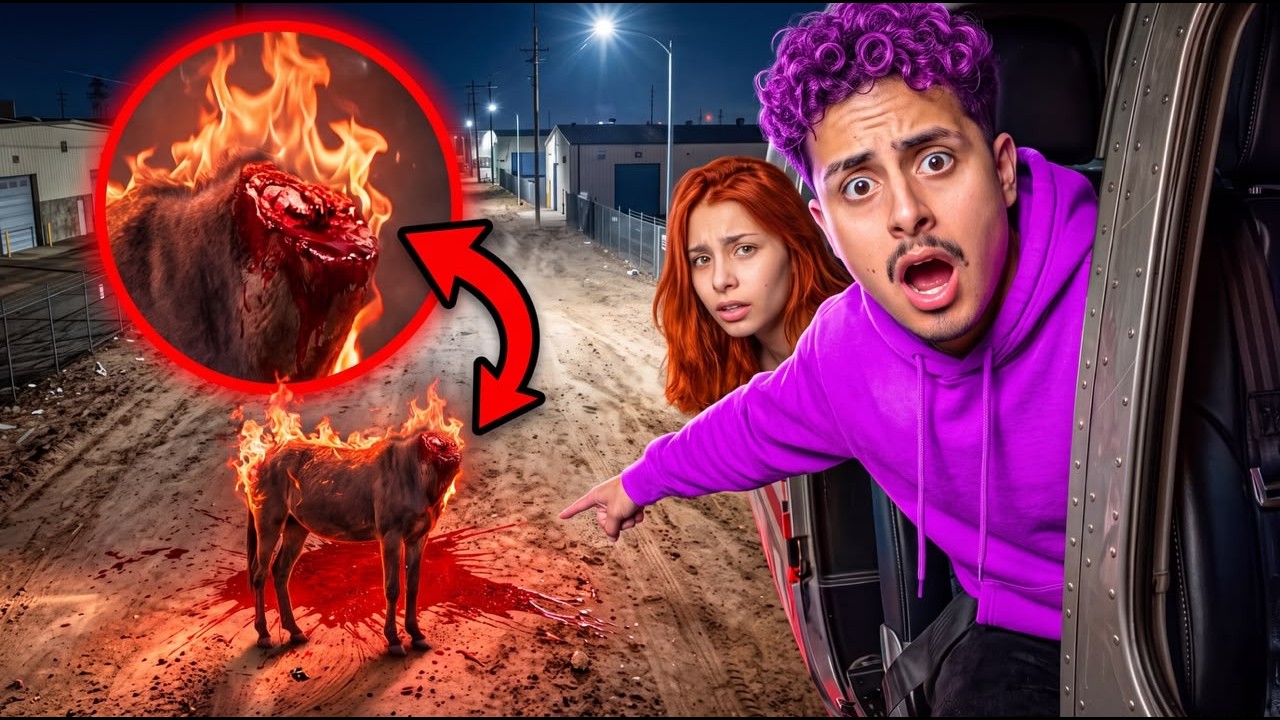 DESVENDEI O MISTERIO DA MULA AMALDIÇOADA *muito sangue