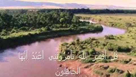 تلاوة خاشعة ماتيسر من سورة الزمر للشيخ حمزة المجالي.wmv