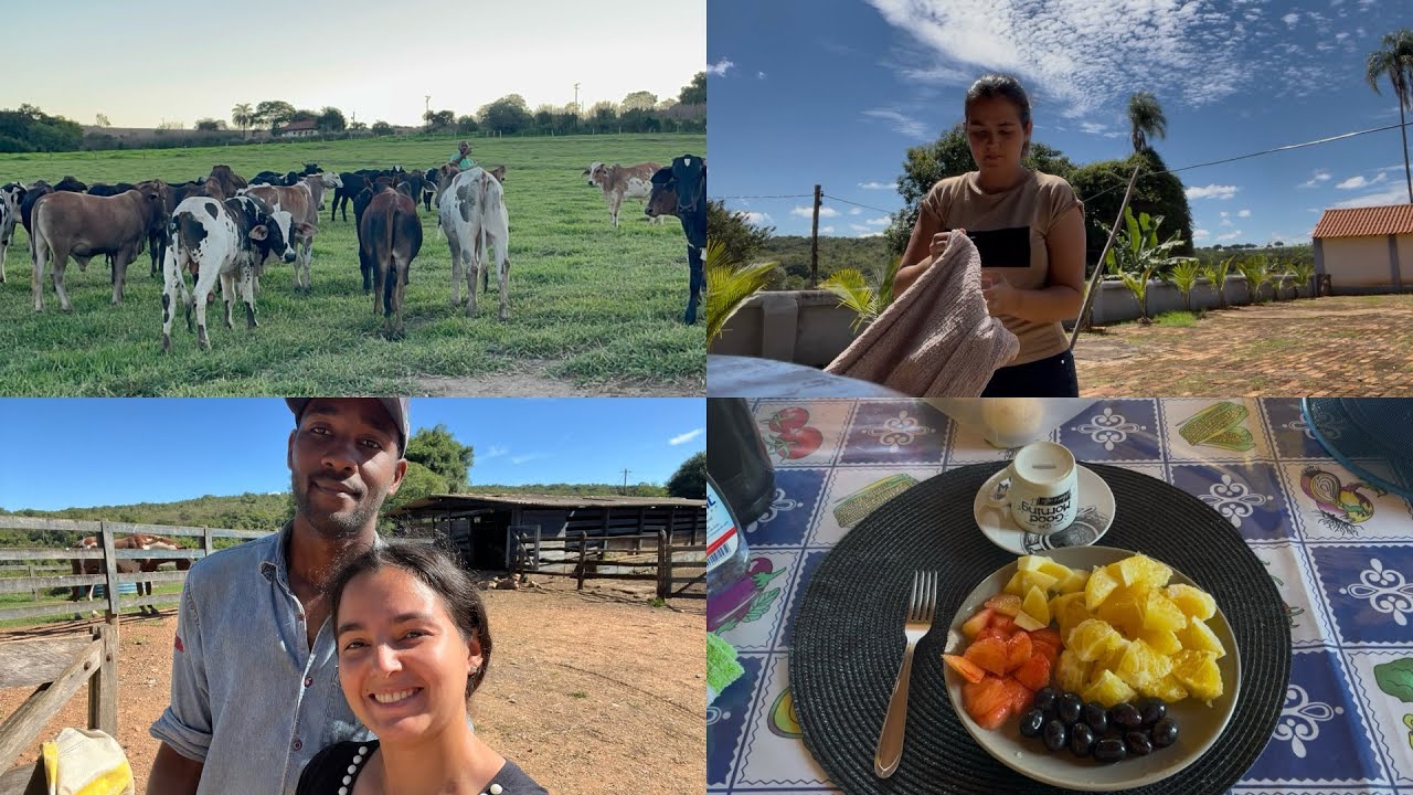 Um pouco da nossa rotina de trabalho aqui na fazenda 👩🏻‍🌾🏡🍃