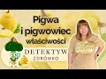 Pigwa i pigwowiec - jak rozpoznać? Jakie właściwości ma pigwa i pigwowiec? DETEKTYW ZDRÓWKO odc. 21