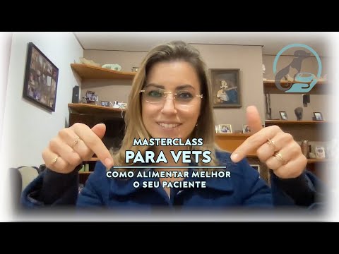 Vídeo: Percepções (e Equívocos) Sobre Nutrição Felina