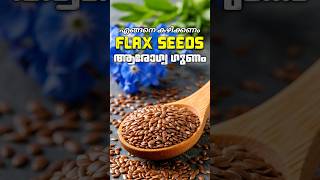 Flax Seeds   4   shorts