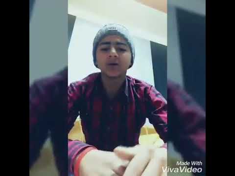   الشرع حلل اربعه هتلر