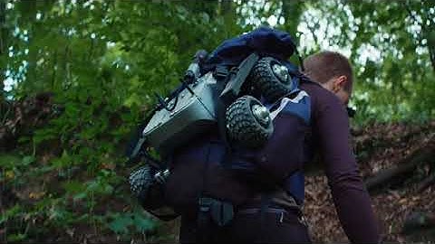 Turtle Rover - World