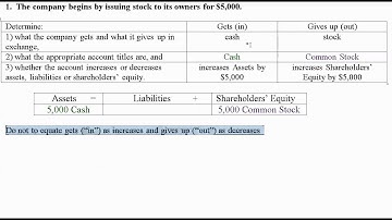 Module 1 LO5.1.1 Issue Stock