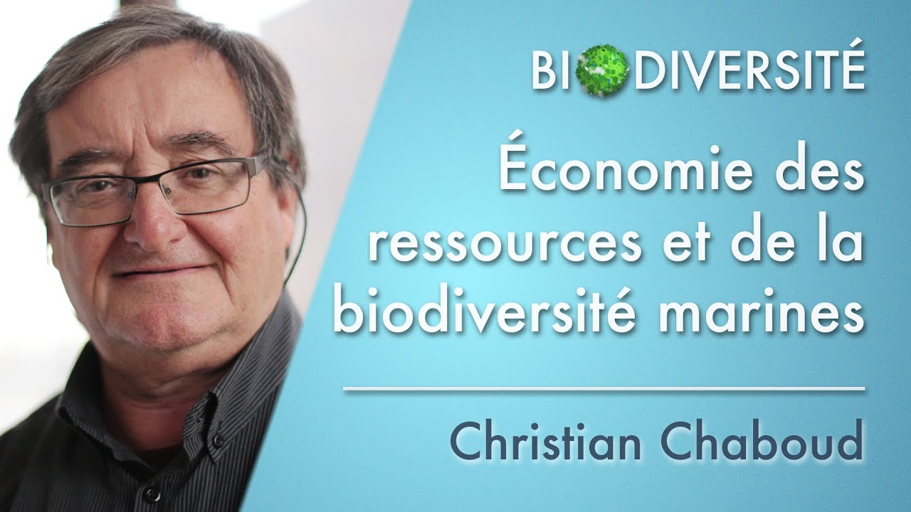 The economics of marine resources and biodiversity