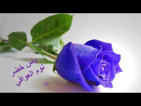 ياس خضر نوم العوافي