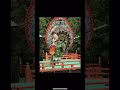 ✨いい運気が舞い降ります✨