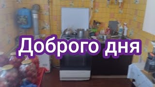 картинка: Влог Закатую помідори.