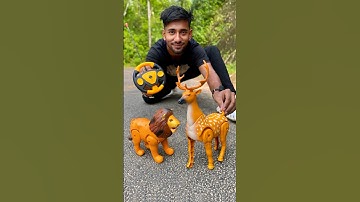 2 ta RC Animals toy Lion and Deer 🦌| Animal Video