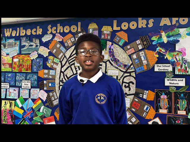 Welbeck Primary School   Windrush 75th Anniversary Animation