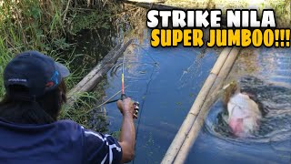 Strike Ikan Nila Super Jumbo Spot Tualang Bali Danau Batur Strikenya Gokil Habis