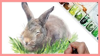 How to Paint a Realistic Bunny Rabbit in Watercolor Step by Step Tutorial