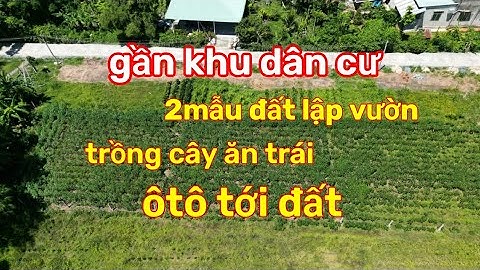 Đất lập vườn sầu riêng giá rẻ gần khu dân cư có phủ hồng, ôtô tới đất Dương Minh Châu, Tây Ninh