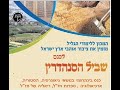 חורשה מוזנחת וסיפור גבורה מי אתה ברוס מקנזי ד ר חגי עמיצור חורשה מוזנחת וסיפור גבורה מי אתה ברוס מקנזי ד ר חגי עמיצור