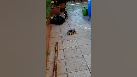 Bluetooth Kontrollü Araba