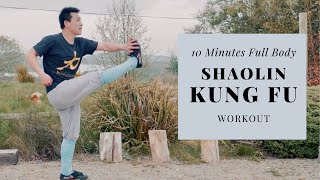 10 Minutes Full Body Kung Fu Workout at Home - No Noise, No Equipment (45 Sec Interval Training)