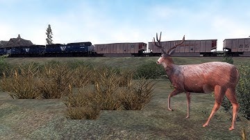 Open Rails - MRL Mullan Pass | [3rd Subdivision] (Helena - Elliston)