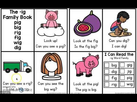 The -ig Word Family Book - YouTube