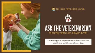 ASK THE VETERINARIAN: answering your questions w/Dr. Lisa Boyer