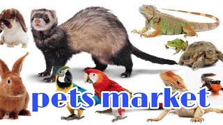 kerala pets market @catsworld1469 #petsmarket #pets #petsandanimals by cats world 756 views 2 years ago 11 minutes, 11 seconds