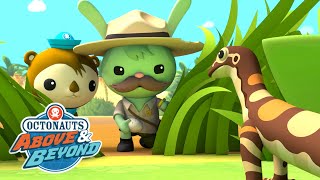 Octonauts: Above & Beyond - 🐰 Ranger Marsh Discovers a Lost Baby Egg 🥚 | @OctonautsandFriends​ by Octonauts and Friends 1,566 views 4 days ago 3 minutes, 15 seconds